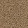 Mohawk Carpet: SP395 02